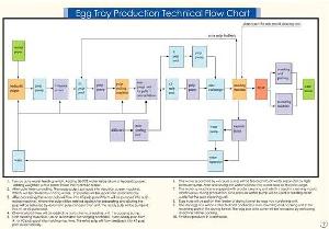 pulp molded 30 cell egg trays