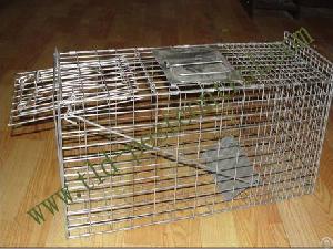 Catching Cat Trap Cage