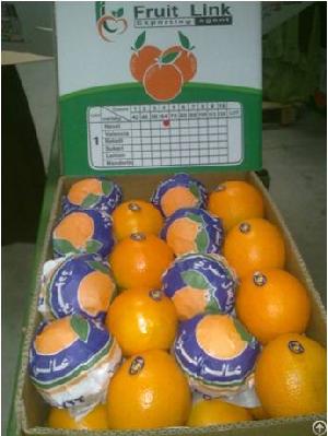 egyptian navel fruit link