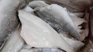 Frozen Sea Bass Fillet