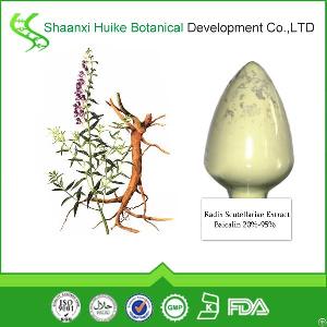 Natural Baicalin Baical Skullcap Root Extract Powder