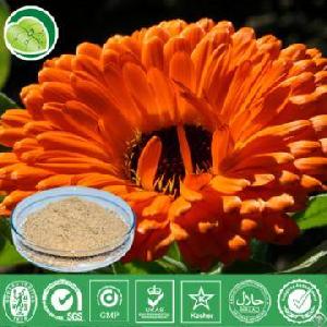 Marigold Extract