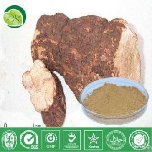 Poria Cocos Extract