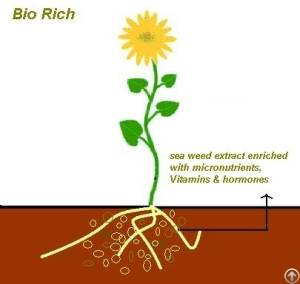 Bio Rich