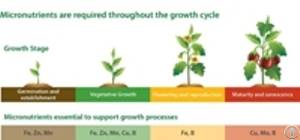 earth care