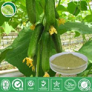 extract cucumber