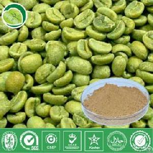 extract green coffee bean