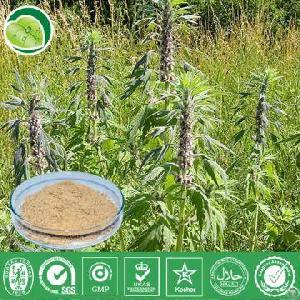 extract motherwort