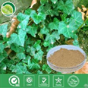 Ivy Extract