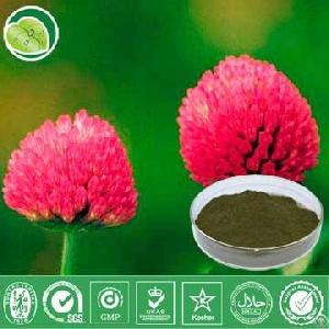 Red Clover Extract