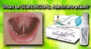 aimglobal whitelight