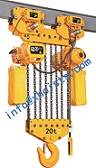 electric lifting hoist