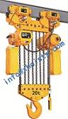 Electric Lifting Hoist