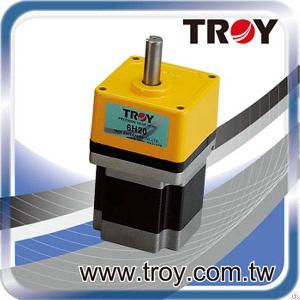 twp phase stepping motor
