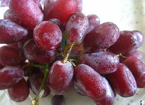 Egyptian Crimson Grapes