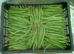 Egyptian Green Beans By Fruit Link