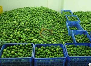 Egyptian Lime By Fruit Link