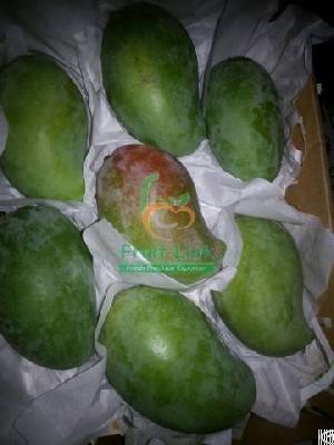 egyptian mango mabruka fruit link