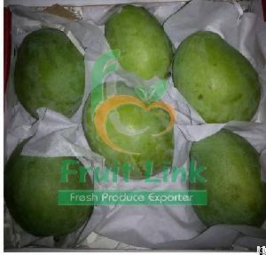 Egyptian Mango Sukarya By Fruit Link