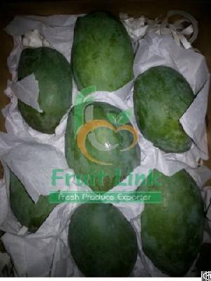 Egyptian Mango Zbidya By Fruit Link