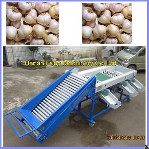 garlic grading machine sorting