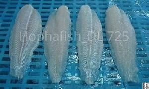 pangasius fillet welltrimmed