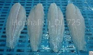 Pangasius Fillet Welltrimmed