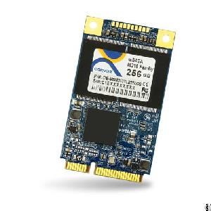 Industrial Msata Module M310 256gb Mlc