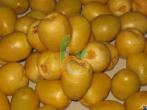 Egyptian Fresh Barhi By Fruit Link