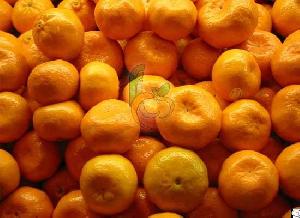 egyptian mandarins fruit link