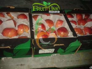 Egyptian Fresh Pomegranates By Fruit Link