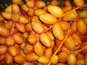 Fresh Samani Dates By Fruit Link