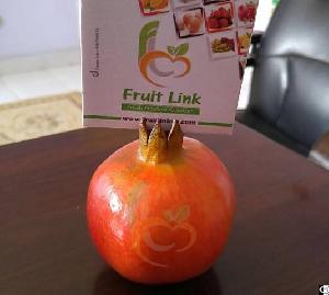 pomegranates egypt fruit link