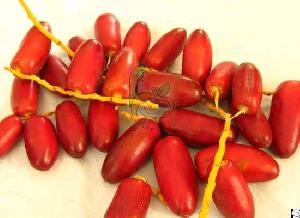 Fresh Zaghlol Dates From Egypt By Fruit Link