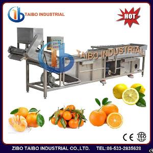 vegetable fruit bubble washing machine