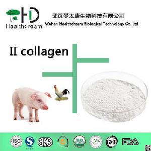 collagen ii edible level