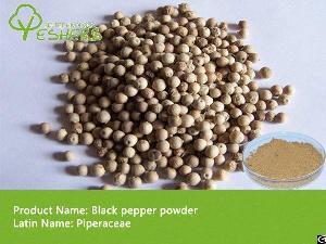 Black Pepper Powder