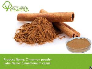 Cinnamon Powder