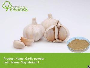 Garlic Powder