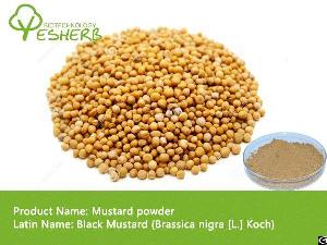 mustard powder