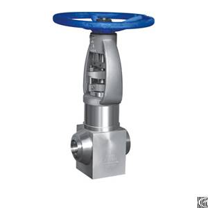 Forged Steel Globe Valve Sdfj61y-p61-f91 Of Power Plant Valve