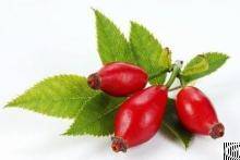 Rose Hips Extract 100% Natural Vitamin C, Vitamin E Chinese Manufacturer , Hot Selling Nutraceutical