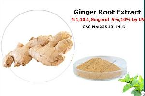 ginger root extract gingerols