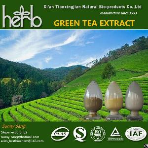 green tea extract polyphenol 40 98 egcg 30 l theanine40