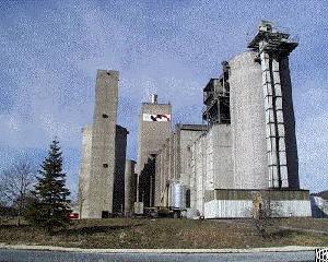 th ring chains bucket elevator