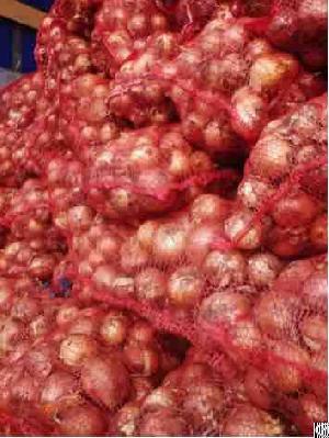 Onions By Wholesale For Processing Or Peeling