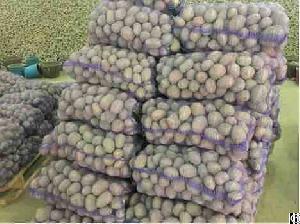 potatoes wholesale export