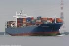 Shenzhen Guangzhou China To Poland Gdynia International Freight Forwarder Ocean Shipping Service