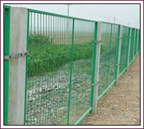 Welded Wire Fences