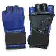 Mma Gloves Fairtex Model